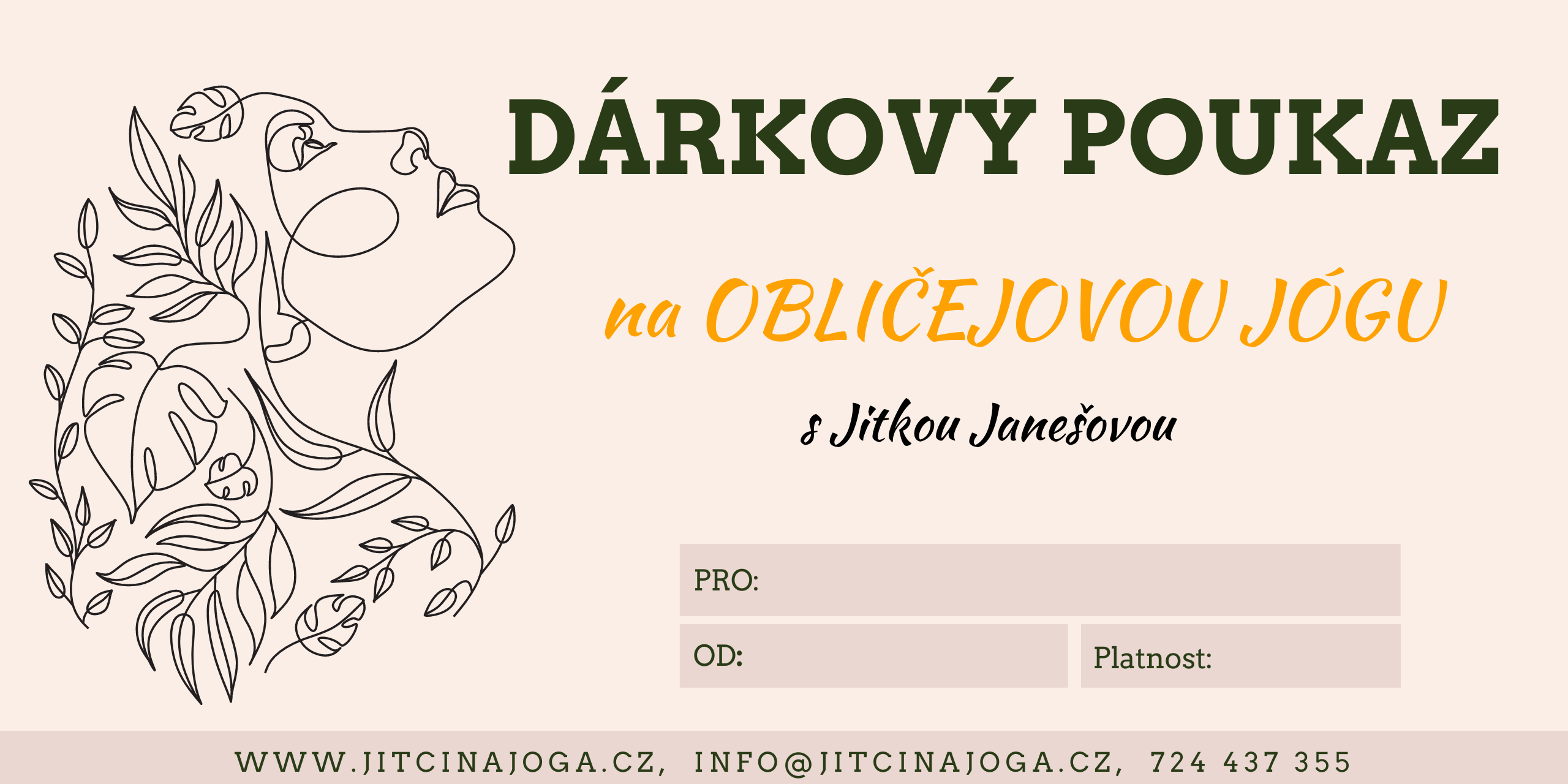 Beige Feminine Illustration Beauty Gift Voucher(4)